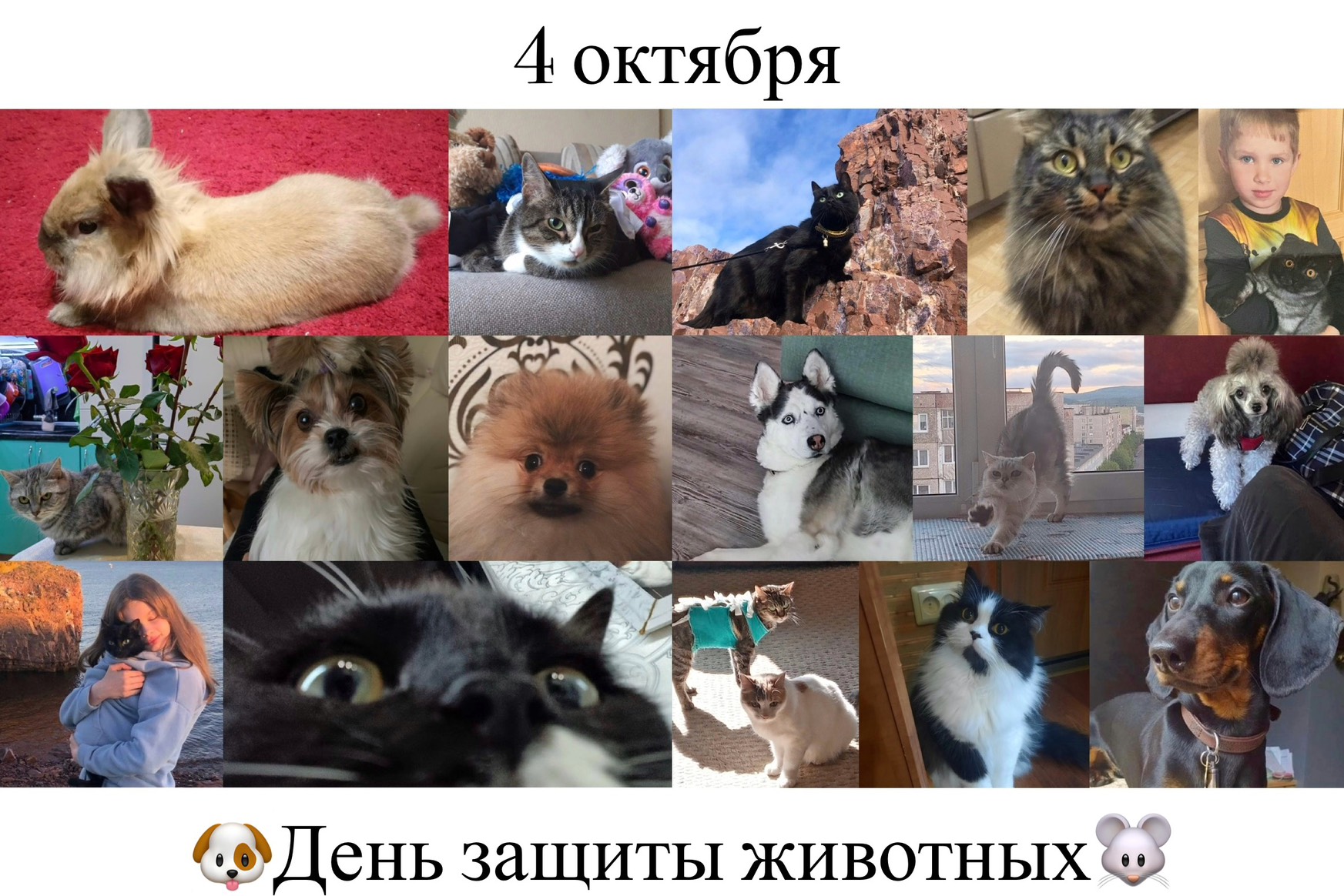 4 октября — Всемирный День защиты животных .